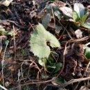 양주농장 이미지