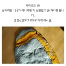청태산그린 | [삼계절침낭구매] 삼계절 침낭 고민이라면 참고해주세요(씨투서밋, 꼴로르, 큐뮬러스, 페더다운, 랩)