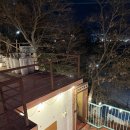 계단집 | 여수 조개구이 삼합 맛집, 돌산대교 뷰 멋진 여수계단집 후기! 가는법 주차