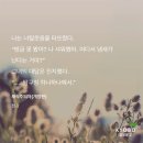 외저 | 일상 포토덤프 6