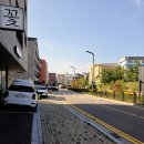 장등초등학교 | [교동짬뽕 봉담2지구] 맵부심 짬뽕 해장짬뽕, 탕수육 맛집 후기