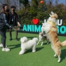 신화유치원 이미지