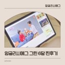 에그PC | 6세 잉글리시에그 디에그 그린 6개월 후기(총 1년째 후기)