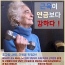 베어리핏 이미지