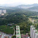 중앙공원 이미지