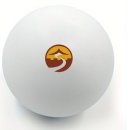 전재민한의원 | 건강행사 판촉물 실리콘 마사지볼 인쇄 제작후기