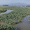 초지로3 이미지