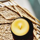 도그미뇽 이미지