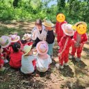 강남큰빛유치원 이미지