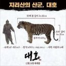 대호