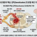 앤드리리