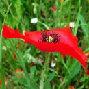 운정초등학교 이미지