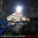 솔하우스 이미지