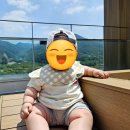 카페인카 | 가평 라임키즈풀빌라 펜션 메콩카페 인카 시책 여행 다녀온 솔직후기