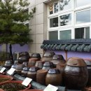 대구선원초등학교 이미지