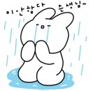 서광이지 이미지