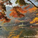영주미용실 - 군산시 | 영주미용실