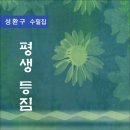 평생 등짐 / 성환구 수필집 (전자책) 이미지