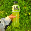 파워에이드 제로 라임 가격부터 맛 후기 까지 한눈에