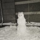 신통방통한의원 이미지