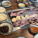 두둥실청둥오리 이미지