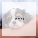 수채화(기초) 이미지