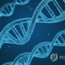 이지사이언스 네이버블로그