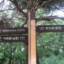 세계유산코스 이미지