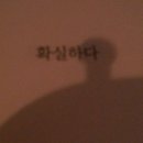 네이버 인플루언서 지원했더니 드디어!