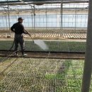 장곡농장 이미지