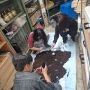 그린클린 | 2025 오산 클린 &amp; 그린 페스티벌 후기 ~