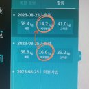 대성미용겔러리 | [부산_서구]1시간만에 체지방 -2.4kg 바이오포톤으로 전신순환해독다이어트 " 에스테틱 힐링수 " 주차...