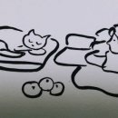 귤방 이미지