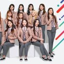 스쿨룩스 이미지