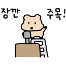 댕댕셰프 네이버블로그