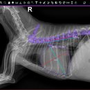 상용축산 이미지
