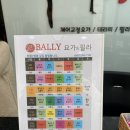 발리요가&필라