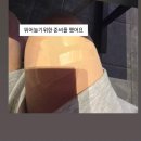 그래요 저 엑디즈 썸머콘 또 갔어요