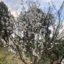 아름다운 민박 이미지