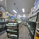 고래의꿈 수족관 이미지