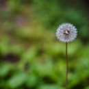 덕유산자연휴양림 이미지