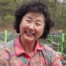 필서농장 Daum카페