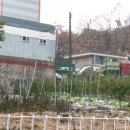 큰소나무농장 이미지