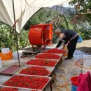 박종훈농장 이미지