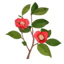 박승철헤어스튜디오 (수원영통점)