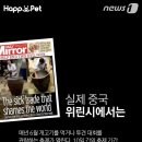 나라펫 이미지