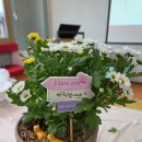 대전광역시립제2노인전문병원 이미지