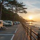 일출고성운동장 | [캠핑장 &amp; 글램핑장] 강원도 고성군 캠핑장 및 글램핑 추천 가이드(2025년)