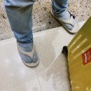 딸기네 민박 이미지