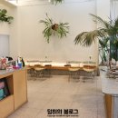 수풀림케이크 이미지